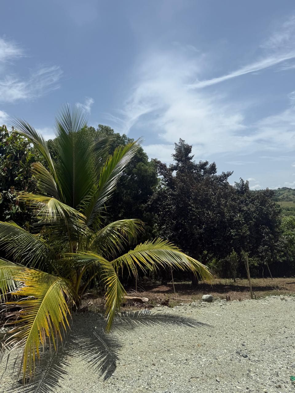 Solares Jarabacoa (13)