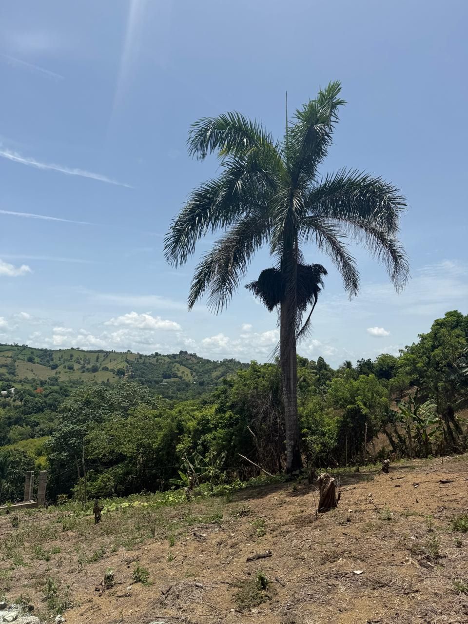 Solares Jarabacoa (5)