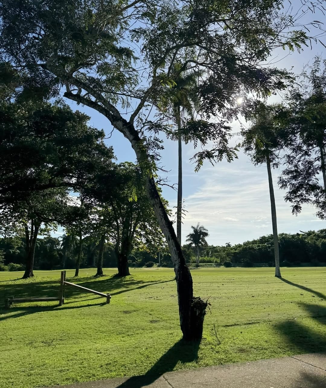 Riviera Golf (8)