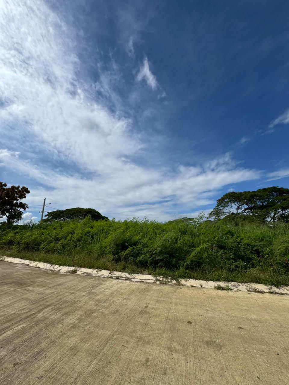Solar Jacagua (4)