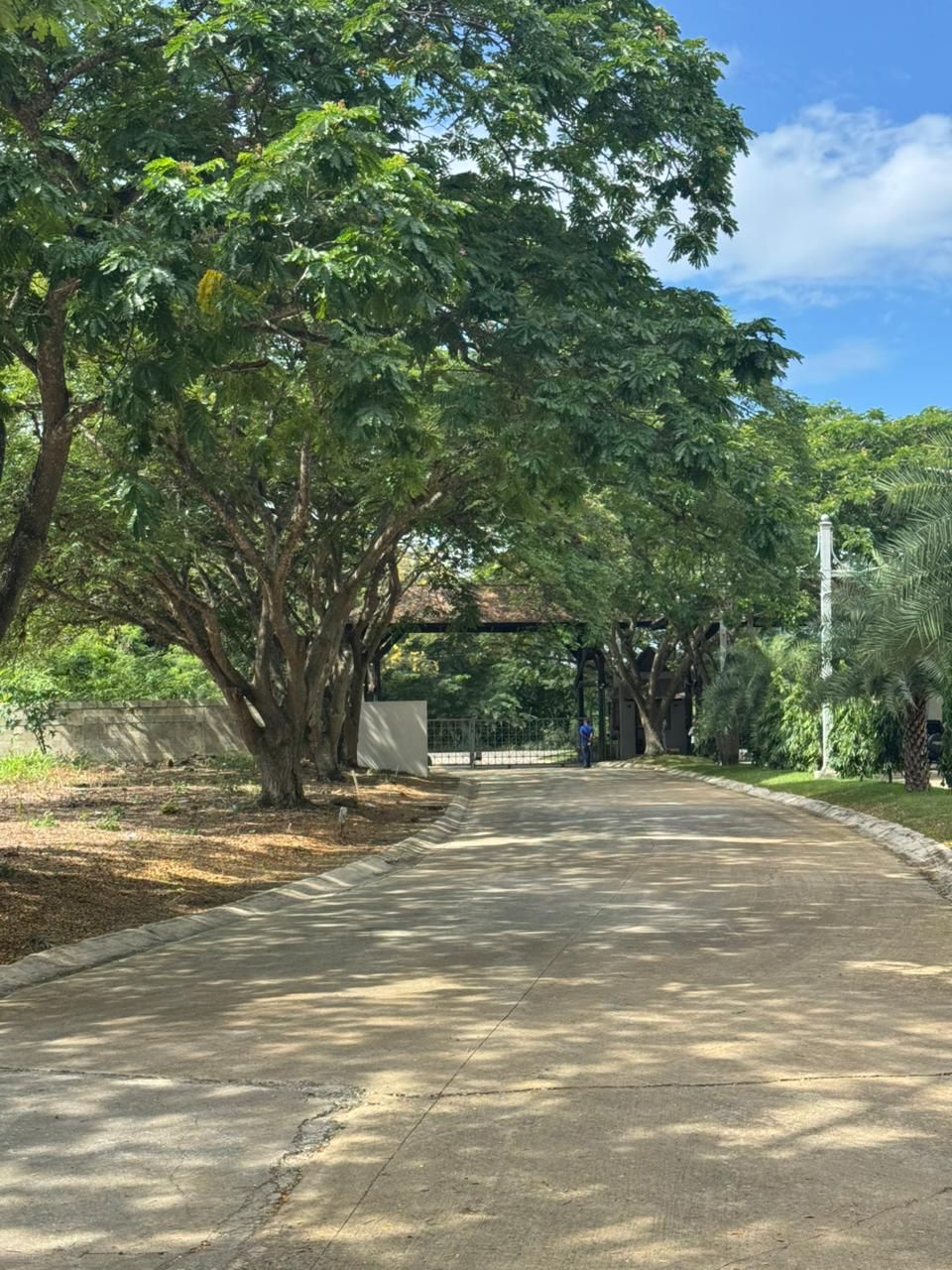 Solar Jacagua (5)